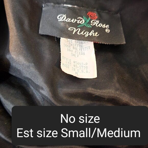 Vintage Style Shirt with sheer Long-sleeves - Picture 3 of 3